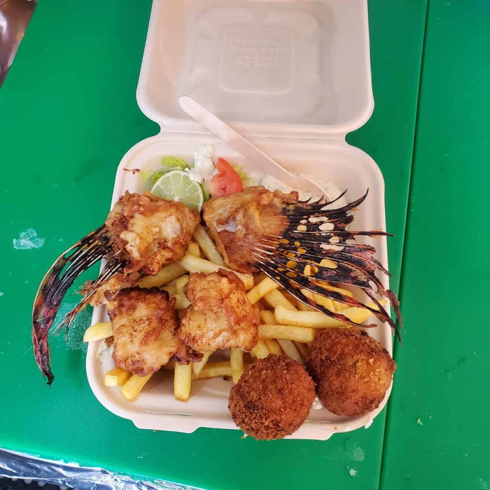 Seafood Restaurant Aruba The LionFish Snack Aruba Shop